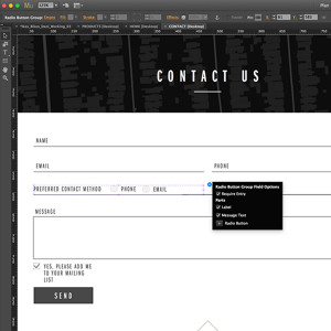 Muse Contact Form Updates