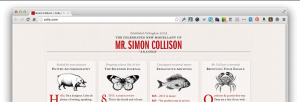Mr. Simon Collison